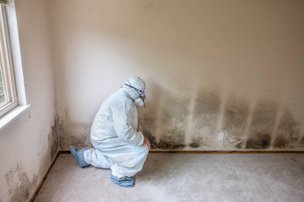 Best HVAC Mold Inspection and Cleaning  in Monticello, KY